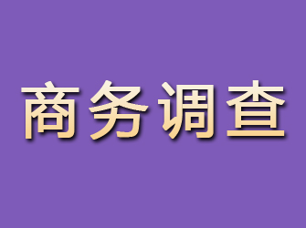 江城商务调查